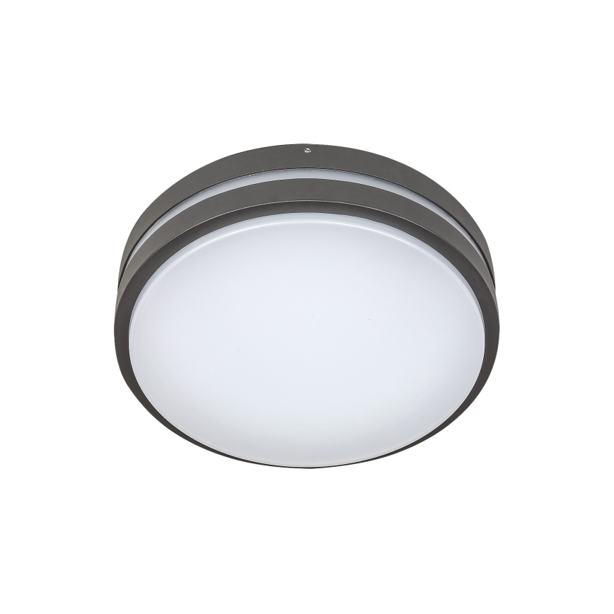 Rabalux 8847 - LED Outdoor wall light HAMBURG LED/10W/230V IP44