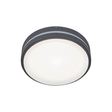 Rabalux 8847 - LED Outdoor wall light HAMBURG LED/10W/230V IP44