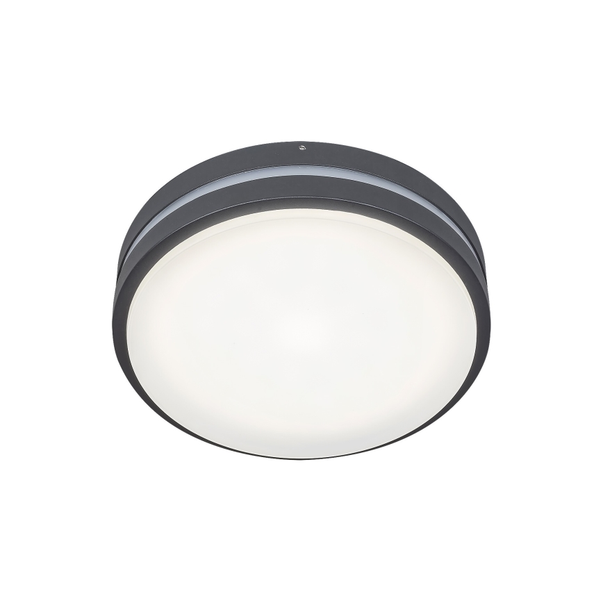Rabalux 8847 - LED Outdoor wall light HAMBURG LED/10W/230V IP44
