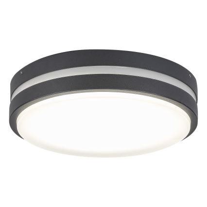 Rabalux 8848 - LED Outdoor wall light HAMBURG LED/12W/230V IP44
