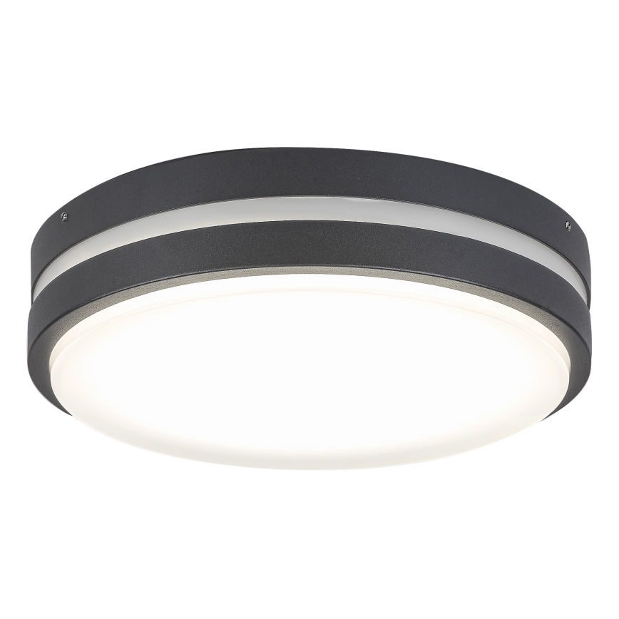 Rabalux 8848 - LED Outdoor wall light HAMBURG LED/12W/230V IP44