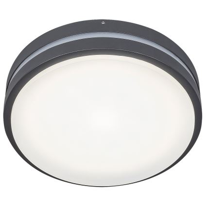 Rabalux 8848 - LED Outdoor wall light HAMBURG LED/12W/230V IP44