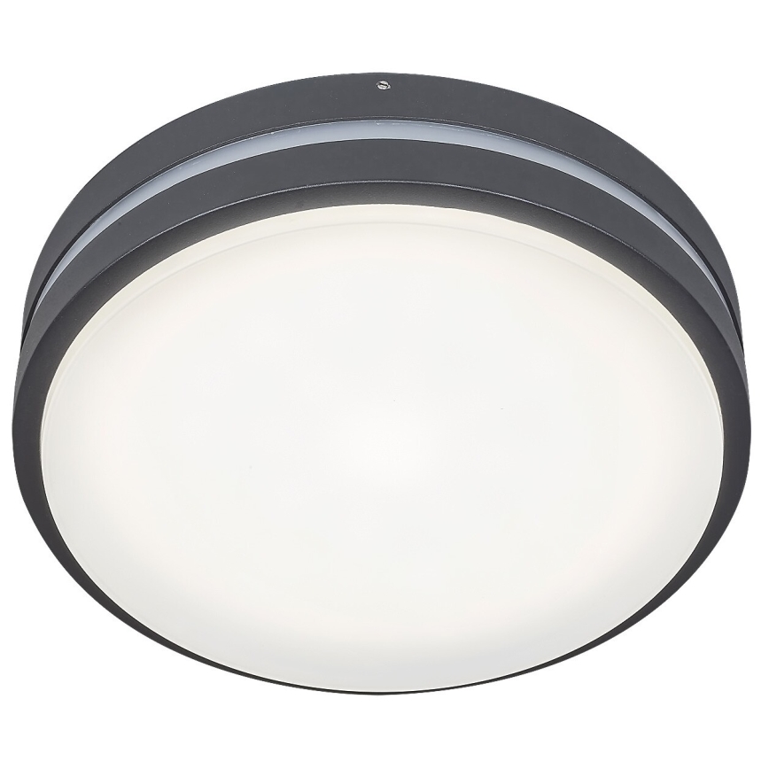 Rabalux 8848 - LED Outdoor wall light HAMBURG LED/12W/230V IP44