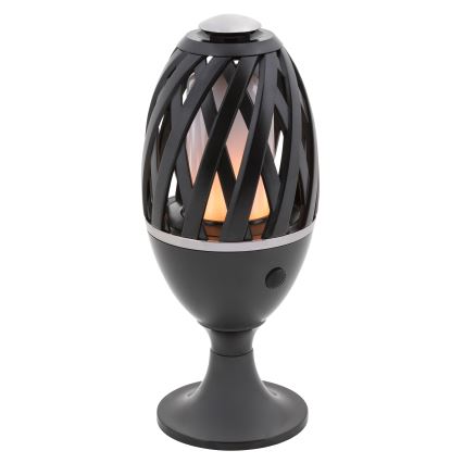 LED Outdoor light LED/5W/with rechargeable USB battery IP65