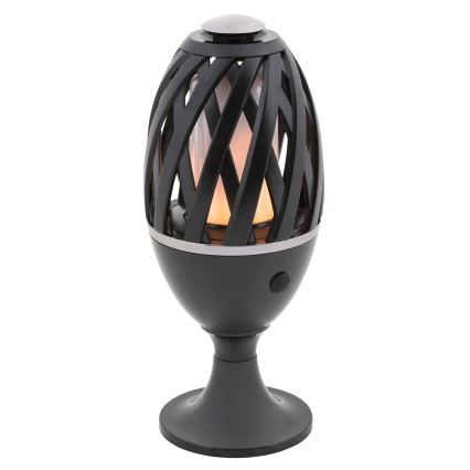 LED Outdoor light LED/5W/with rechargeable USB battery IP65
