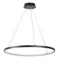 Rabalux - Cable-mounted LED Pendant Light, 55W, 230V, 3000K