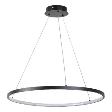 Rabalux - Cable-mounted LED Pendant Light, 55W, 230V, 3000K