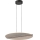 Rabalux - Cable-Suspended LED Pendant LED/24W/230V 3000K