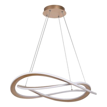 Rabalux - Cable-Suspended LED Pendant Light LED/72W/230V 3000K