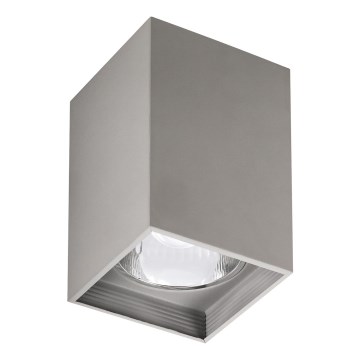 Rabalux - Ceiling light 1xE27/60W/230V