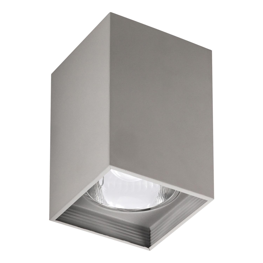 Rabalux - Ceiling light 1xE27/60W/230V