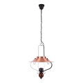 Rabalux - Chandelier on a chain 1xE27/60W/230V