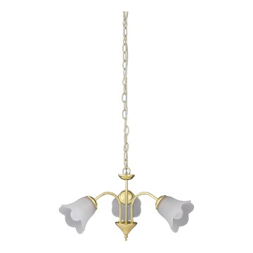 Rabalux - Chandelier on a chain 3xE14/40W/230V