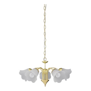 Rabalux - Chandelier on a chain 5xE14/40W/230V