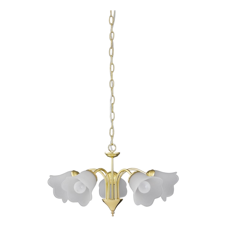 Rabalux - Chandelier on a chain 5xE14/40W/230V