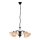 Rabalux - chandelier on a chain 5xE14/40W/230V