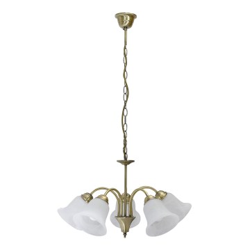 Rabalux - Chandelier on a chain 5xE14/40W/230V