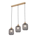 Rabalux - Chandelier on a string 3xE27/60W/230V