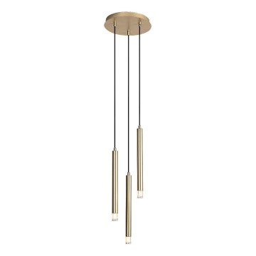 Rabalux - Chandelier on a string 3xG9/5W/230V gold
