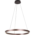 Rabalux - Dimmable LED Cable Pendant LED/36W/230V 3000-6500K + Remote Control