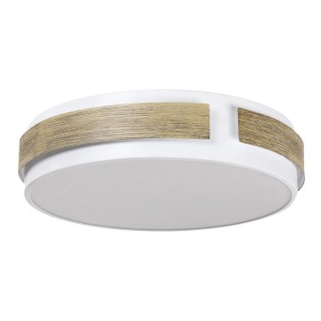 Rabalux - Dimmable LED ceiling light, 24W/230V, Ø 42 cm
