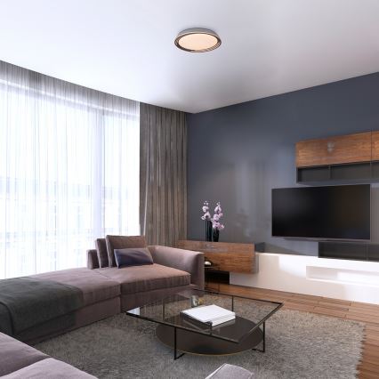 Rabalux - Dimmable LED Ceiling Light, LED/36W/230V, Ø 51.5 cm