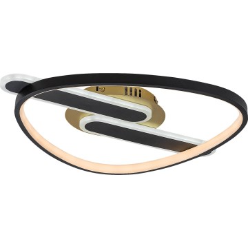 Rabalux - Dimmable LED Ceiling Light, 60W, 230V, 3000–6000 K, 53 x 45 cm, with Remote Control