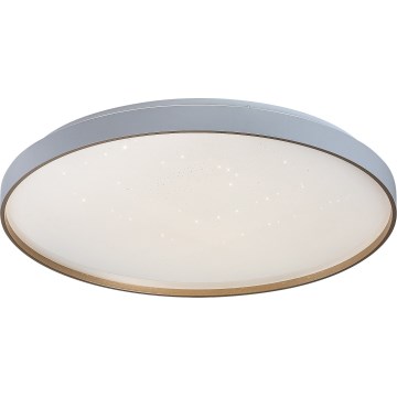 Rabalux - Dimmable LED ceiling light, 60W/230V, 3000–6500K, Ø 58 cm, with remote control