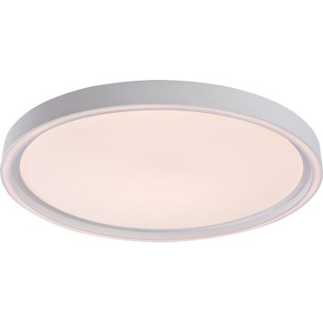 Rabalux - Dimmable LED Ceiling Light LED/31W/230V IP40 3000-6500K Ø 41,5 cm + remote control