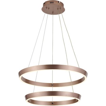 Rabalux - Dimmable LED pendant on cable LED/45W/230V 3000-6500K + remote control