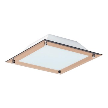 Rabalux - LARS LED Ceiling Light 1xLED/12W/230V 30x30 cm