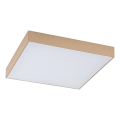 Rabalux - LED Bathroom Ceiling Light LED/24W/230V 2800/4000/6000K IP44