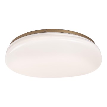 Rabalux - LED Bathroom Ceiling Light LED/24W/230V IP44 Ø 41 cm