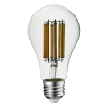 Rabalux - LED Bulb FILAMENT A70 E27/18W/230V 3000K
