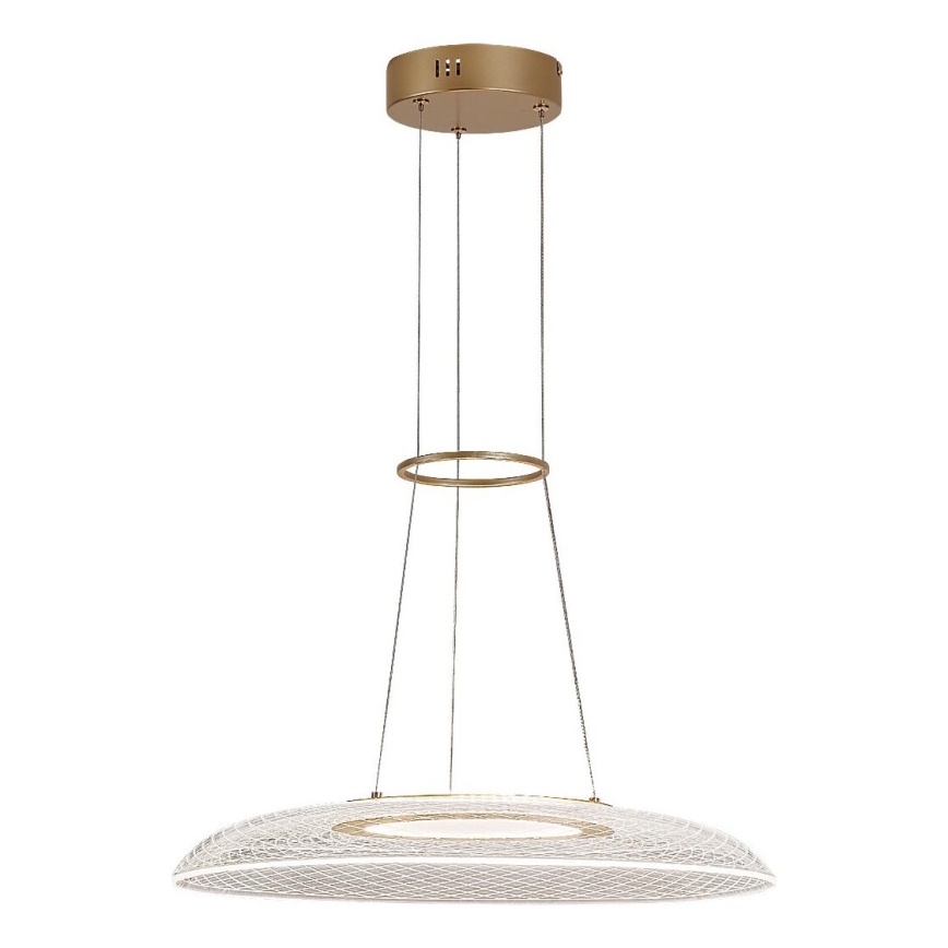 Rabalux - LED Cable Pendant LED/24W/230V 3000K