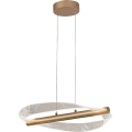 Rabalux - LED Cable Pendant LED/24W/230V 3000K