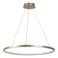 Rabalux - LED Cable-Suspended Pendant Light, 55W, 230V, 3000K