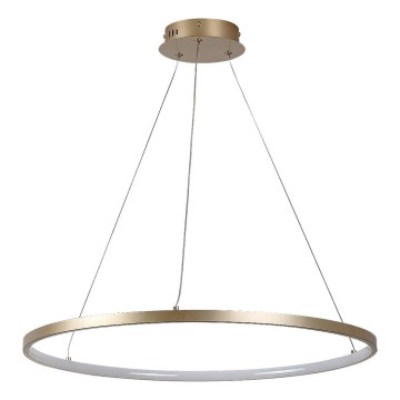 Rabalux - LED Cable-Suspended Pendant Light, 55W, 230V, 3000K