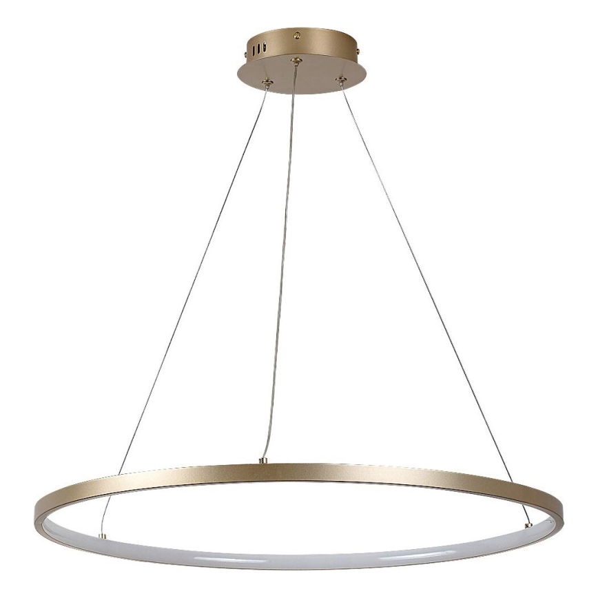 Rabalux - LED Cable-Suspended Pendant Light, 55W, 230V, 3000K