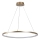 Rabalux - LED Cable-Suspended Pendant Light, 55W, 230V, 3000K