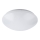 Rabalux - LED Ceiling light 1xLED/12W/230V
