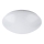 Rabalux - LED Ceiling light 1xLED/24W/230V