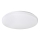 Rabalux - LED Ceiling light 1xLED/32W/230V