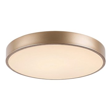 Rabalux - LED Ceiling Light, 36W, 230V, 3000K, Ø 40 cm