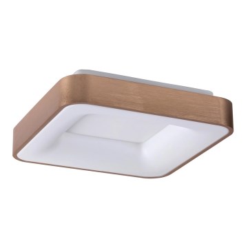 Rabalux - LED Ceiling light CARMELA LED/30W/230V 40x40 cm