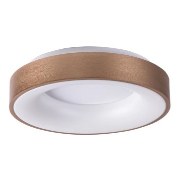 Rabalux - LED Ceiling light CARMELA LED/30W/230V