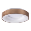 Rabalux - LED Ceiling light CARMELA LED/50W/230V