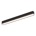 Rabalux - LED Ceiling light for 1-phase rail system LED/16W/230V 3000K 33 cm black