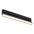 Rabalux - LED Ceiling light for 1-phase rail system LED/16W/230V 3000K 33 cm black