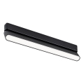 Rabalux - LED Ceiling light for 1-phase rail system LED/16W/230V 4000K 33 cm black